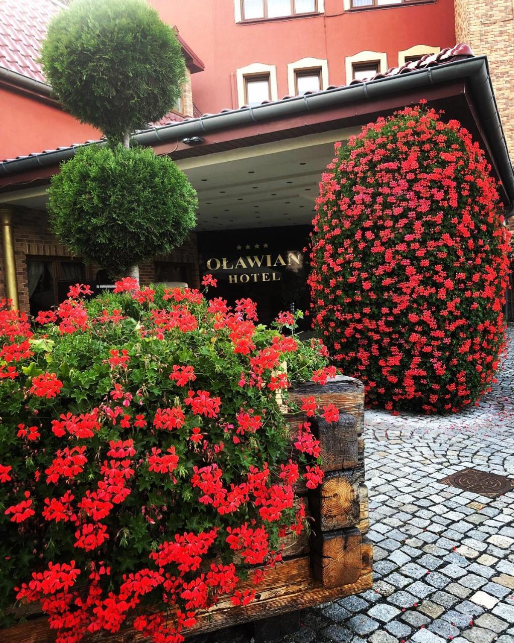Olawian Hotel โอวาวา ภายนอก รูปภาพ
